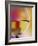 Sweet Wine in Glass-Alexander Feig-Framed Photographic Print