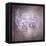 Sweet Wisteria-Jai Johnson-Framed Premier Image Canvas