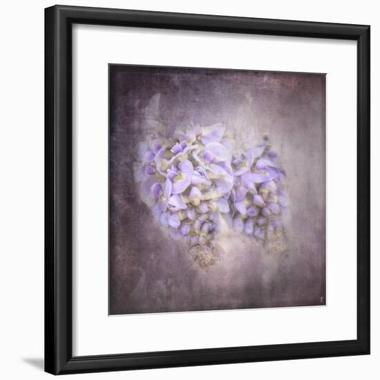 Sweet Wisteria-Jai Johnson-Framed Giclee Print