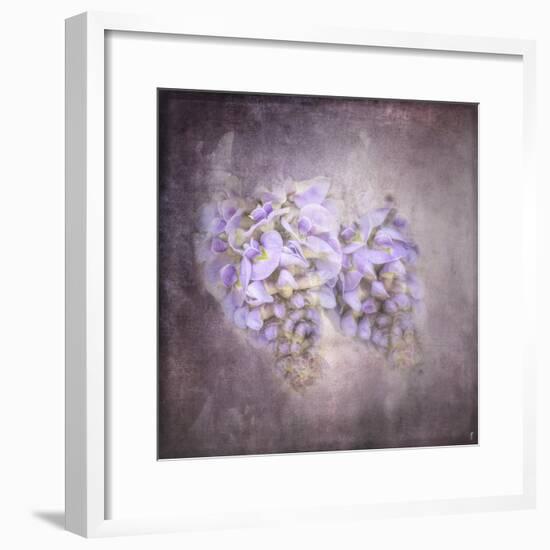 Sweet Wisteria-Jai Johnson-Framed Giclee Print