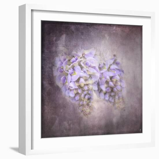 Sweet Wisteria-Jai Johnson-Framed Giclee Print