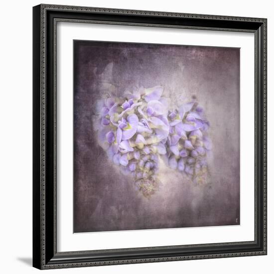 Sweet Wisteria-Jai Johnson-Framed Giclee Print