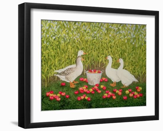 Sweetcorn-Geese-Ditz-Framed Giclee Print