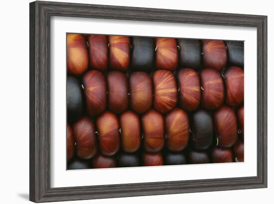 Sweetcorn Grains-Kaj Svensson-Framed Photographic Print