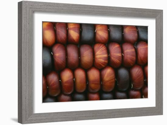 Sweetcorn Grains-Kaj Svensson-Framed Photographic Print