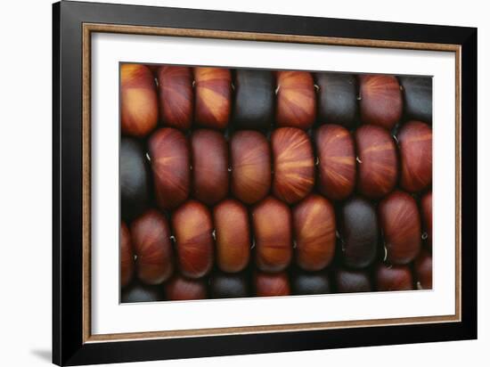 Sweetcorn Grains-Kaj Svensson-Framed Photographic Print