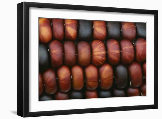 Sweetcorn Grains-Kaj Svensson-Framed Photographic Print