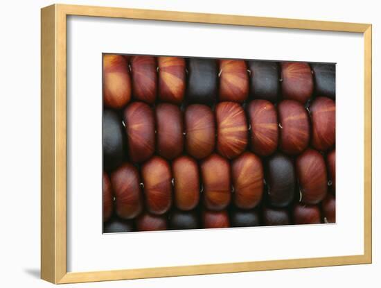 Sweetcorn Grains-Kaj Svensson-Framed Photographic Print