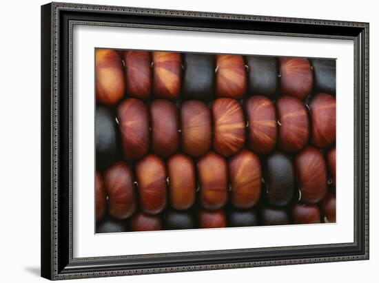 Sweetcorn Grains-Kaj Svensson-Framed Photographic Print