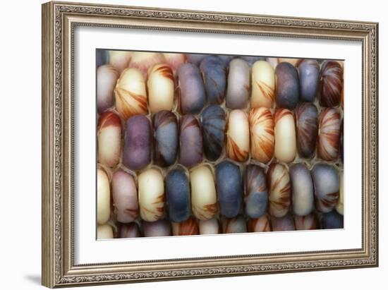 Sweetcorn Grains-Kaj Svensson-Framed Photographic Print