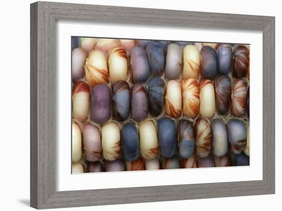 Sweetcorn Grains-Kaj Svensson-Framed Photographic Print