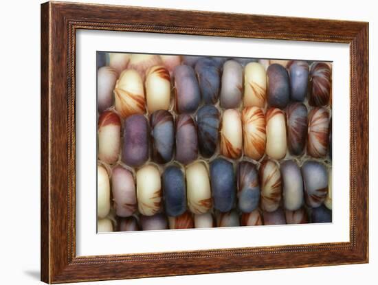 Sweetcorn Grains-Kaj Svensson-Framed Photographic Print