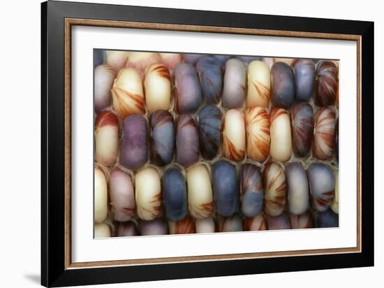 Sweetcorn Grains-Kaj Svensson-Framed Photographic Print