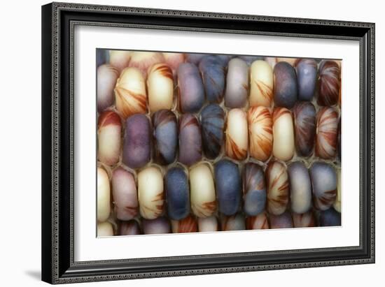 Sweetcorn Grains-Kaj Svensson-Framed Photographic Print