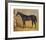 Sweetmeat, 1846-J.F. Herring Senior-Framed Premium Giclee Print