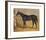 Sweetmeat, 1846-J.F. Herring Senior-Framed Premium Giclee Print