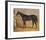 Sweetmeat, 1846-J.F. Herring Senior-Framed Premium Giclee Print