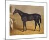 Sweetmeat, 1846-J.F. Herring Senior-Mounted Premium Giclee Print