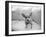 Sweetpea-Kim Levin-Framed Photographic Print