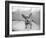 Sweetpea-Kim Levin-Framed Photographic Print