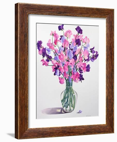 Sweetpeas, 2007-Christopher Ryland-Framed Giclee Print