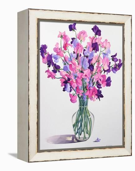 Sweetpeas, 2007-Christopher Ryland-Framed Premier Image Canvas