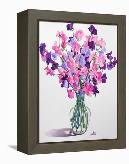 Sweetpeas, 2007-Christopher Ryland-Framed Premier Image Canvas