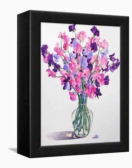 Sweetpeas, 2007-Christopher Ryland-Framed Premier Image Canvas