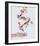 Sweets For A Stage Magician-Dina Belenko-Framed Giclee Print