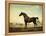 Sweetwilliam', a Bay Racehorse, in a Paddock, 1779-George Stubbs-Framed Premier Image Canvas