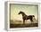 Sweetwilliam', a Bay Racehorse, in a Paddock, 1779-George Stubbs-Framed Premier Image Canvas