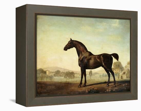 Sweetwilliam', a Bay Racehorse, in a Paddock, 1779-George Stubbs-Framed Premier Image Canvas