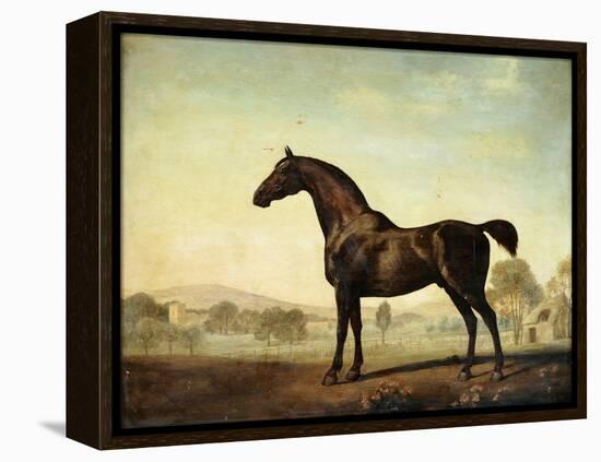 Sweetwilliam', a Bay Racehorse, in a Paddock, 1779-George Stubbs-Framed Premier Image Canvas