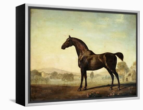 Sweetwilliam', a Bay Racehorse, in a Paddock, 1779-George Stubbs-Framed Premier Image Canvas