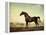 Sweetwilliam', a Bay Racehorse, in a Paddock, 1779-George Stubbs-Framed Premier Image Canvas