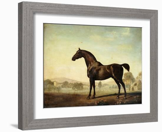 Sweetwilliam', a Bay Racehorse, in a Paddock, 1779-George Stubbs-Framed Giclee Print