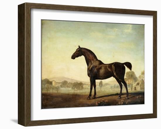 Sweetwilliam', a Bay Racehorse, in a Paddock, 1779-George Stubbs-Framed Giclee Print