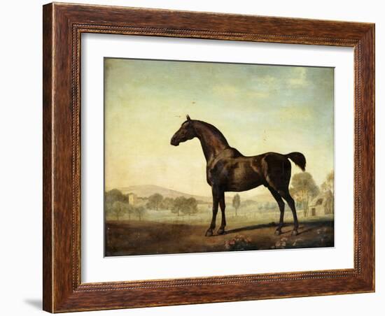 Sweetwilliam', a Bay Racehorse, in a Paddock, 1779-George Stubbs-Framed Giclee Print