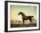 Sweetwilliam', a Bay Racehorse, in a Paddock, 1779-George Stubbs-Framed Giclee Print