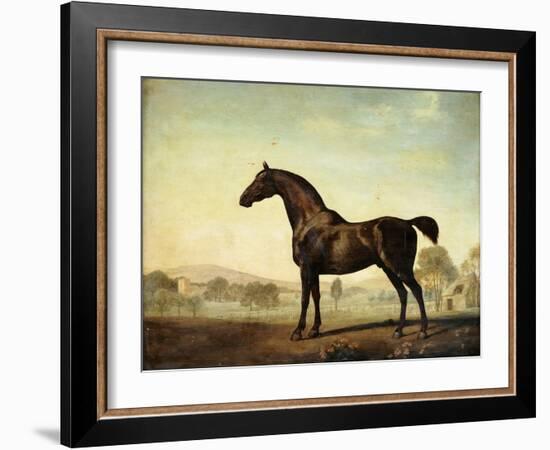 Sweetwilliam', a Bay Racehorse, in a Paddock, 1779-George Stubbs-Framed Giclee Print