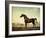 Sweetwilliam', a Bay Racehorse, in a Paddock, 1779-George Stubbs-Framed Giclee Print