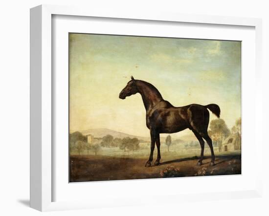 Sweetwilliam', a Bay Racehorse, in a Paddock, 1779-George Stubbs-Framed Giclee Print