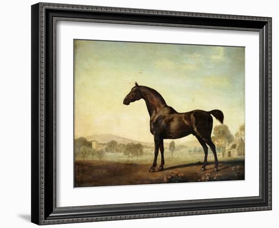 Sweetwilliam', a Bay Racehorse, in a Paddock, 1779-George Stubbs-Framed Giclee Print