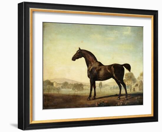 Sweetwilliam', a Bay Racehorse, in a Paddock, 1779-George Stubbs-Framed Giclee Print