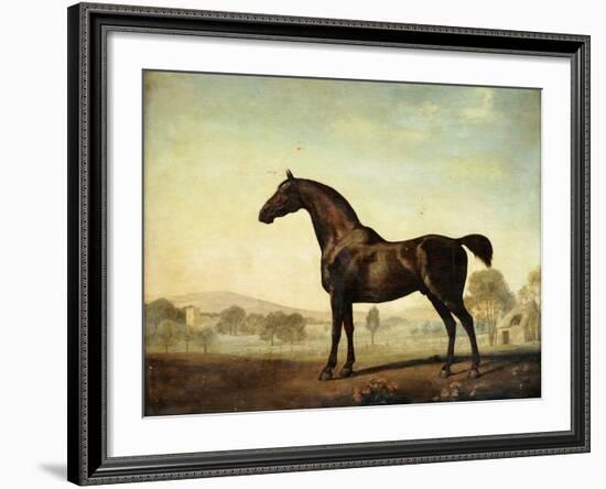 Sweetwilliam', a Bay Racehorse, in a Paddock, 1779-George Stubbs-Framed Giclee Print