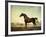 Sweetwilliam', a Bay Racehorse, in a Paddock, 1779-George Stubbs-Framed Giclee Print