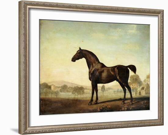 Sweetwilliam', a Bay Racehorse, in a Paddock, 1779-George Stubbs-Framed Giclee Print