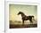 Sweetwilliam', a Bay Racehorse, in a Paddock, 1779-George Stubbs-Framed Giclee Print