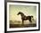 Sweetwilliam', a Bay Racehorse, in a Paddock, 1779-George Stubbs-Framed Giclee Print