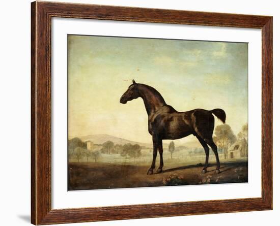 Sweetwilliam', a Bay Racehorse, in a Paddock, 1779-George Stubbs-Framed Giclee Print